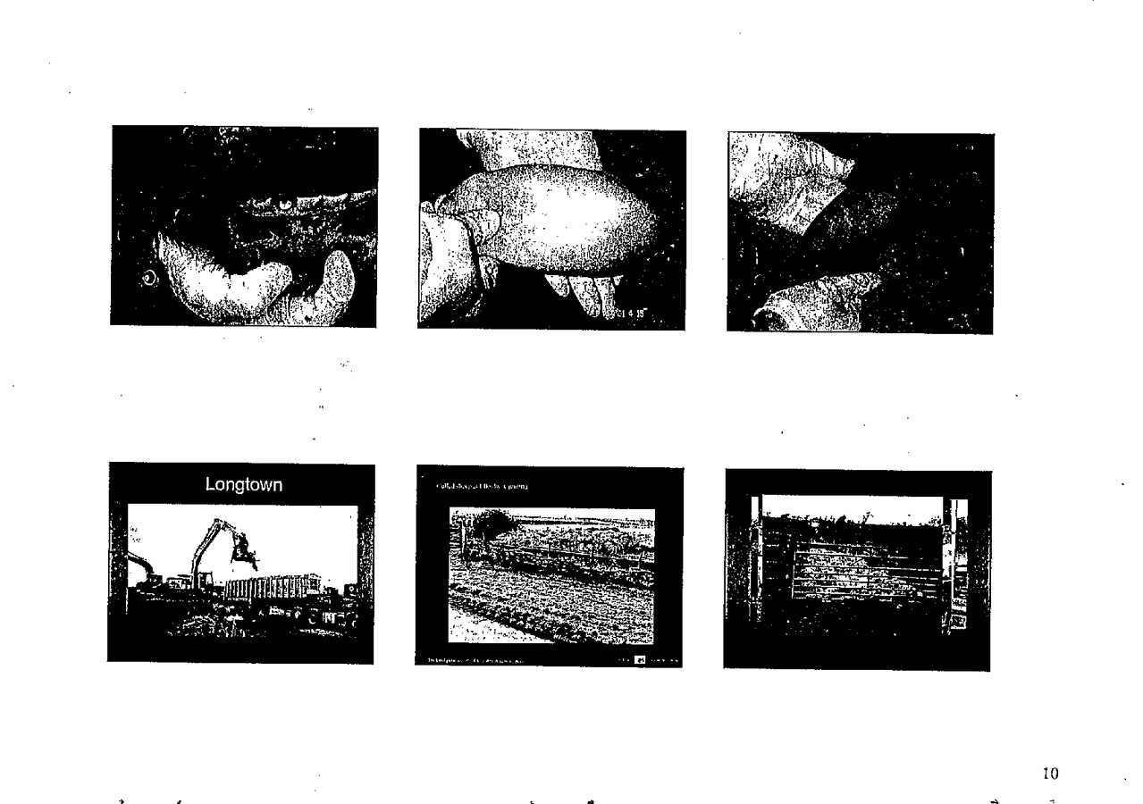 2002 Page 044